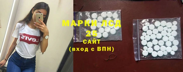 хмурый Лагань
