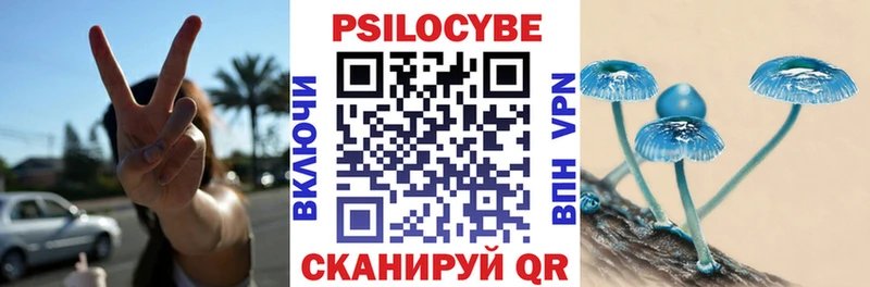 Псилоцибиновые грибы ЛСД  кракен зеркало  Астрахань 