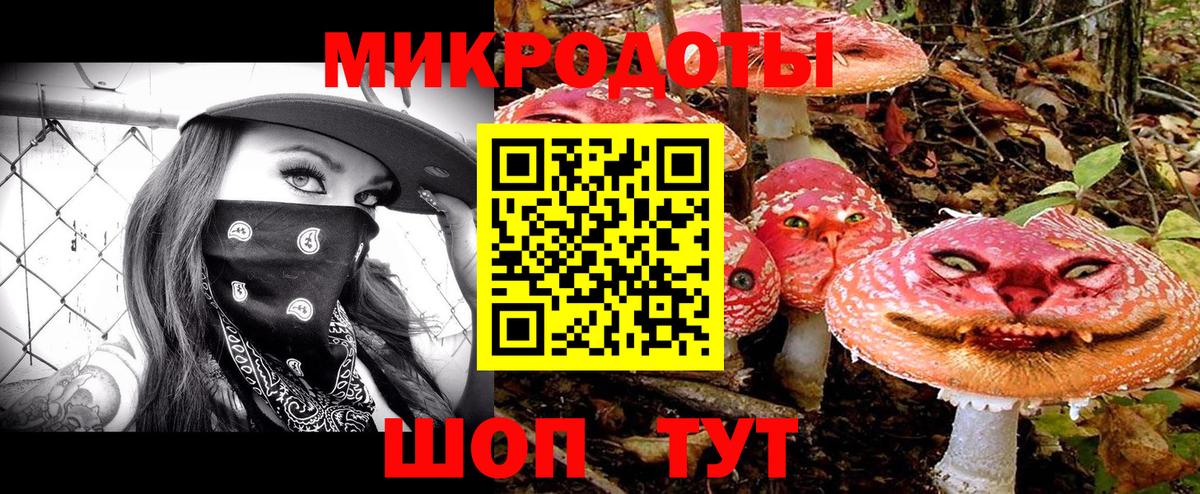 Галлюциногенные грибы мухоморы Астрахань