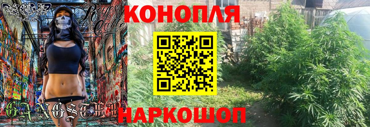 Астрахань  Марихуана сатива  Каннабис конопля  Каннабис Amnesia  Бошки Шишки Ganja  Вход с VPN 